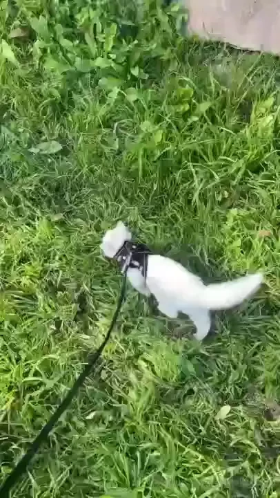 Hiya cutie how s it hanging wanted to share some little updates from 