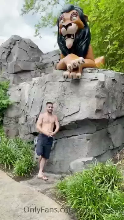A little fun at the lion king area 