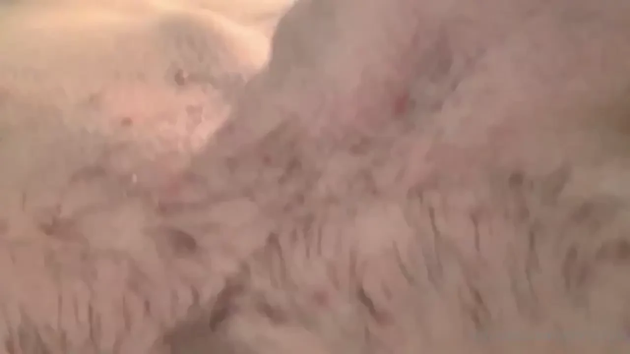 Back at you boys with another freebie friday with the hunk 