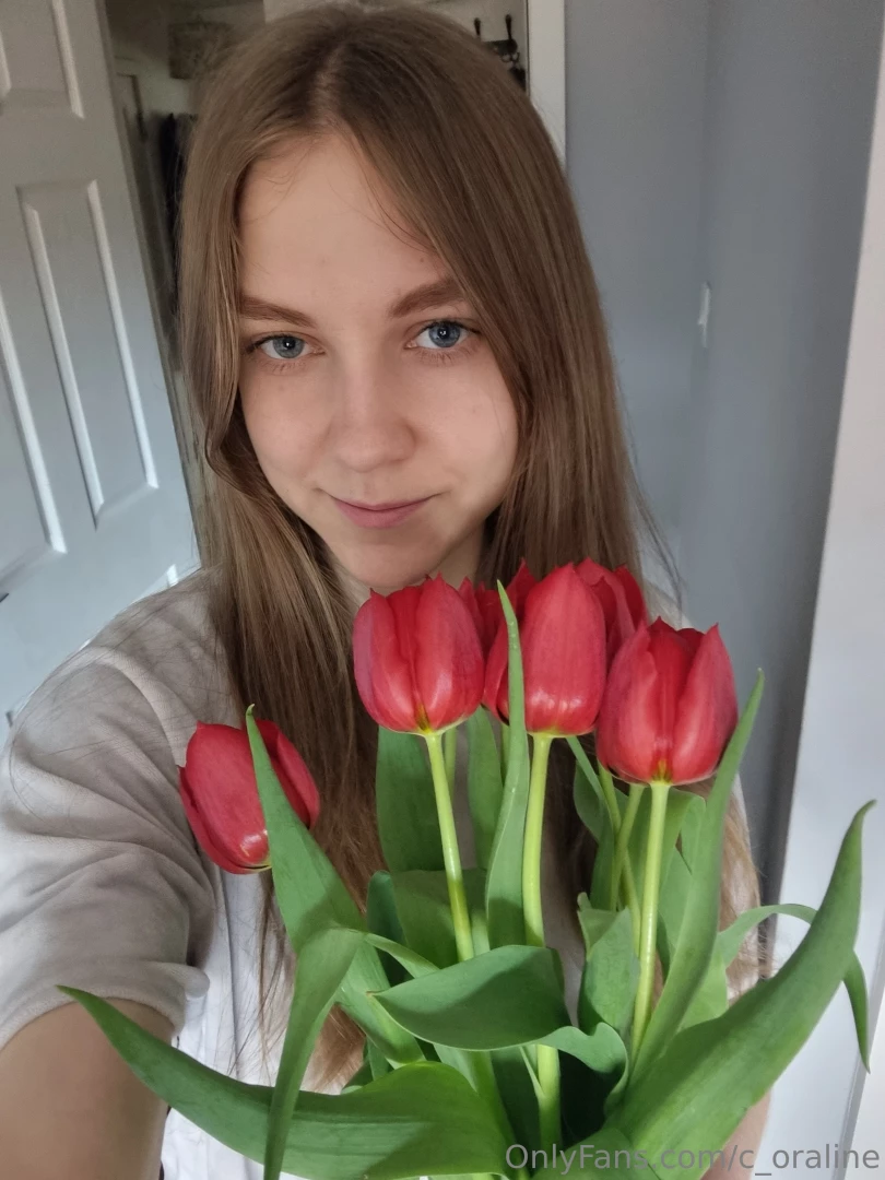 Tulips are some of the most beautiful and graceful flowers that amaze 