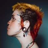punkgoblin
