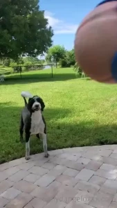 Maddy said its her turn guys