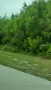 That was to say mini vacation lol here is some going along the stretch part 2