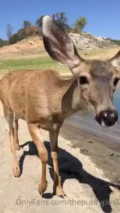These shoots are about connecting with yourself with god with nature 