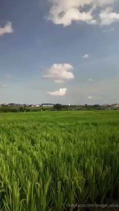 I finally got out for a bike ride it s rainy season so it s hard to 