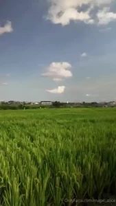 I finally got out for a bike ride it s rainy season so it s hard to