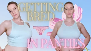 Getting bred in your panties i know you want to be a free use slut you