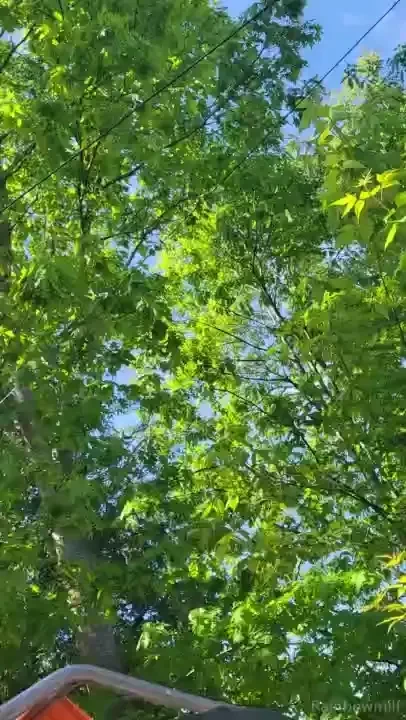 Good morning it s a beautiful day let s soak it all in except the 