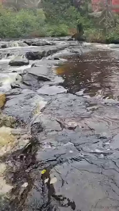 Meet me in the bush for lunch part 14 