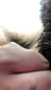 Stream started at 11 13 2019 03 50 am