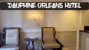 The mardi gras experience with the waffles fam partying on bourbon amp