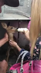 My pussy had 3 orgasms do you want to see it part 33