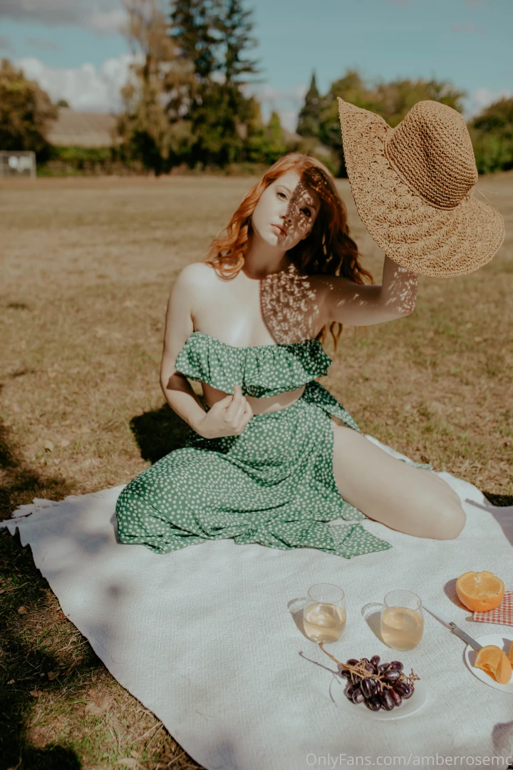 Final picnic of the year possibly get this digital and film set by part 1 