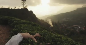 Write me a message if you want me to take off these pants and panties