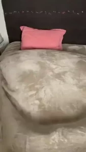 Imagine waking up to a surprise like this
