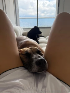 Good place to take a nap