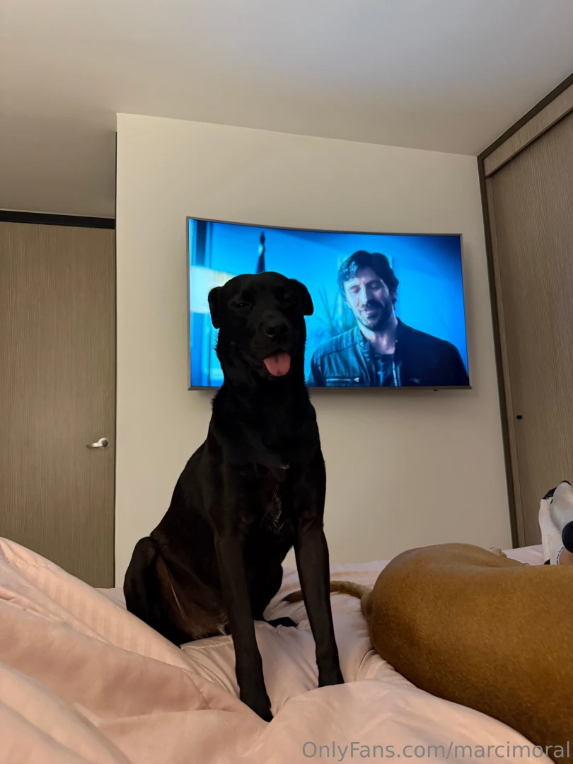 Do we look alike part 7 