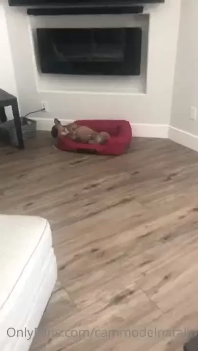 He was sleeping so cute i tried to get a video but woke him up 