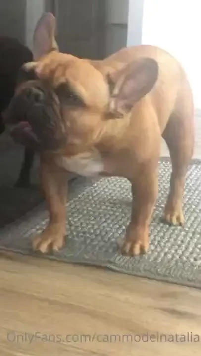 He loves to eat ice cubes lmao cracks me up 