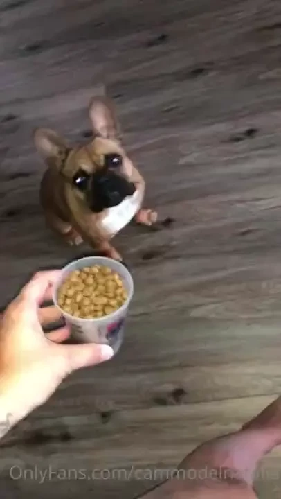 Good morning part 15320 