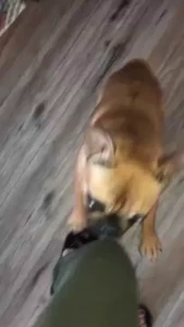 Send help he s crazy