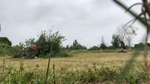 Hitting the baby jump