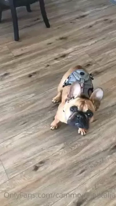 Heading to the lake to reserve our boat slip for the summer 