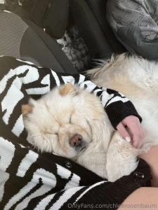 Post-christmas relaxation mode