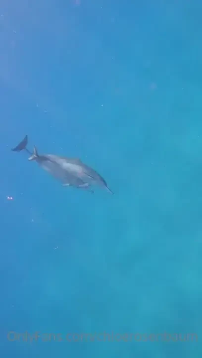 Just lived my childhood dream and nothings ever been more magical in 