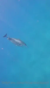 Just lived my childhood dream and nothings ever been more magical in