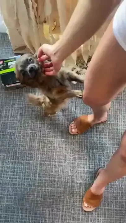 How y all been dropping 3 new videos tonight sorry i been away for so 