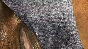 Kokobeannnz1 part 63