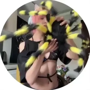 Cute spiders