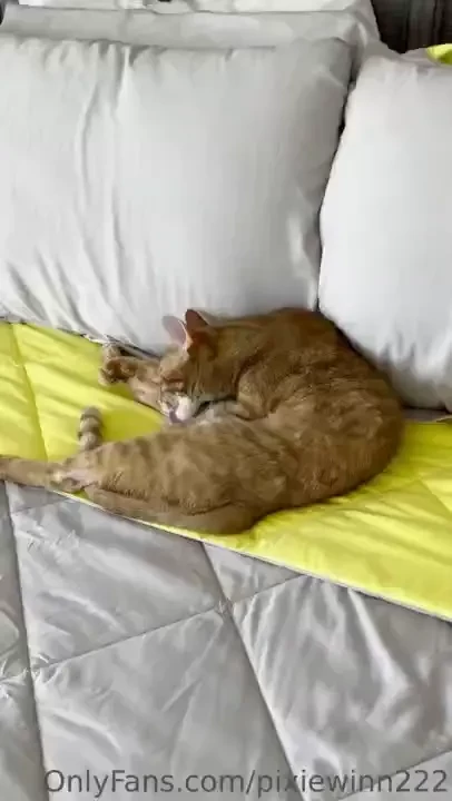 Lol if you ve seen my last post 