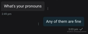 Any pronouns is fine she her he him they them it it s