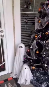 Welsh family 2024 halloween decorations