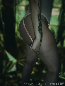 Lexyreptiles part 37577