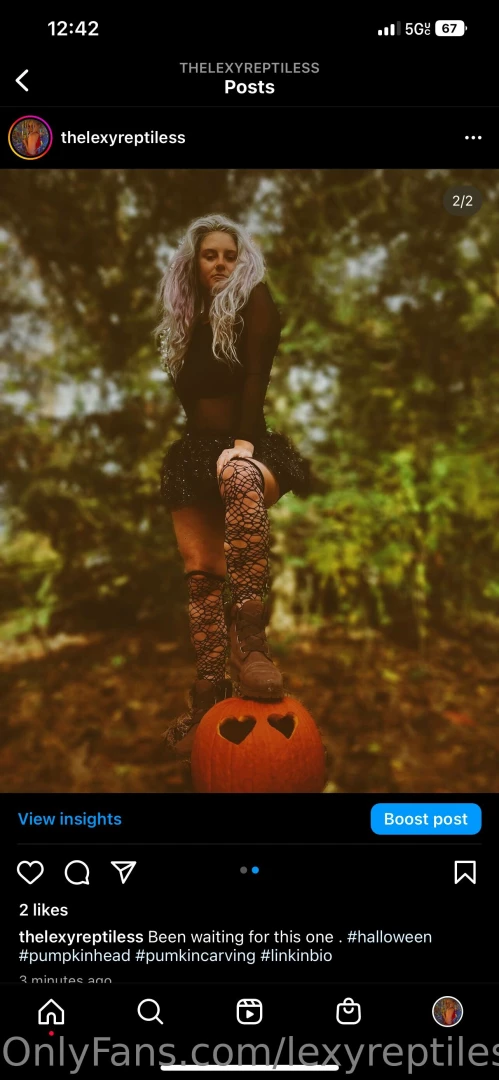 Lexyreptiles part 39343 