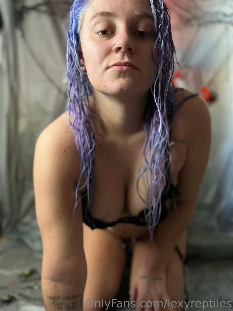 Lexyreptiles part 39430 