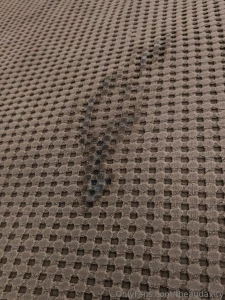 Someone just had an afternoon delight good news i m still a tight wet