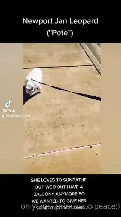 Pool day with my cat part 3 