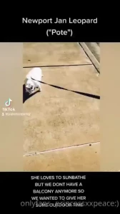 Pool day with my cat part 3