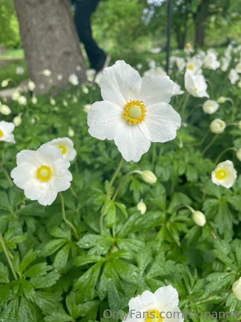 Random summer things part 1 