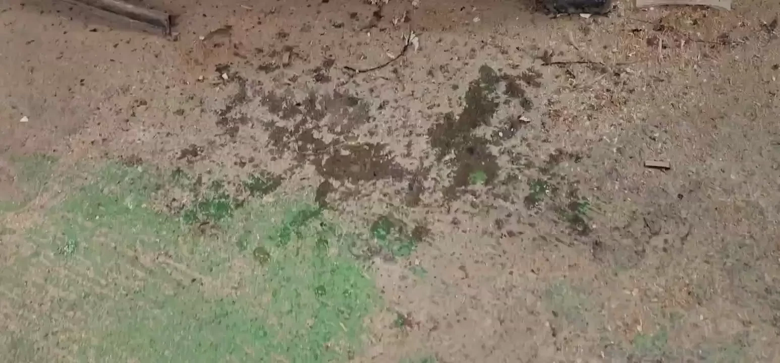 My squirt mess in my new video part 2 