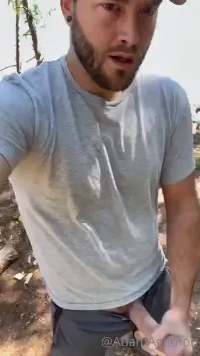 Nice day for a walk in the woods 