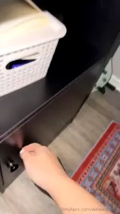 Where do you hide your toys another snippet that my vip s see on their