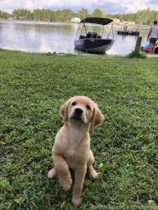 Her first boat ride