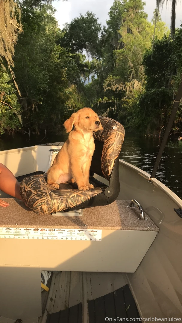 Morning vibes part 19 