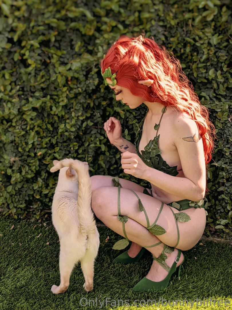 Kitty photobombs are the best part 1 