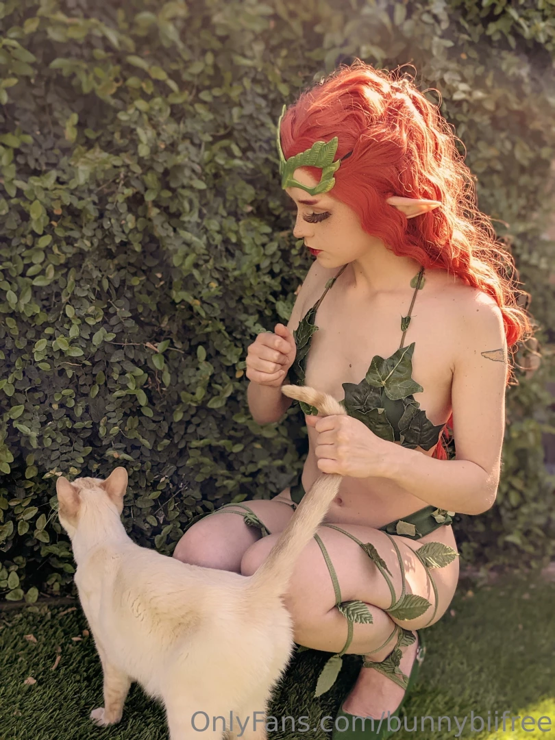 Kitty photobombs are the best 